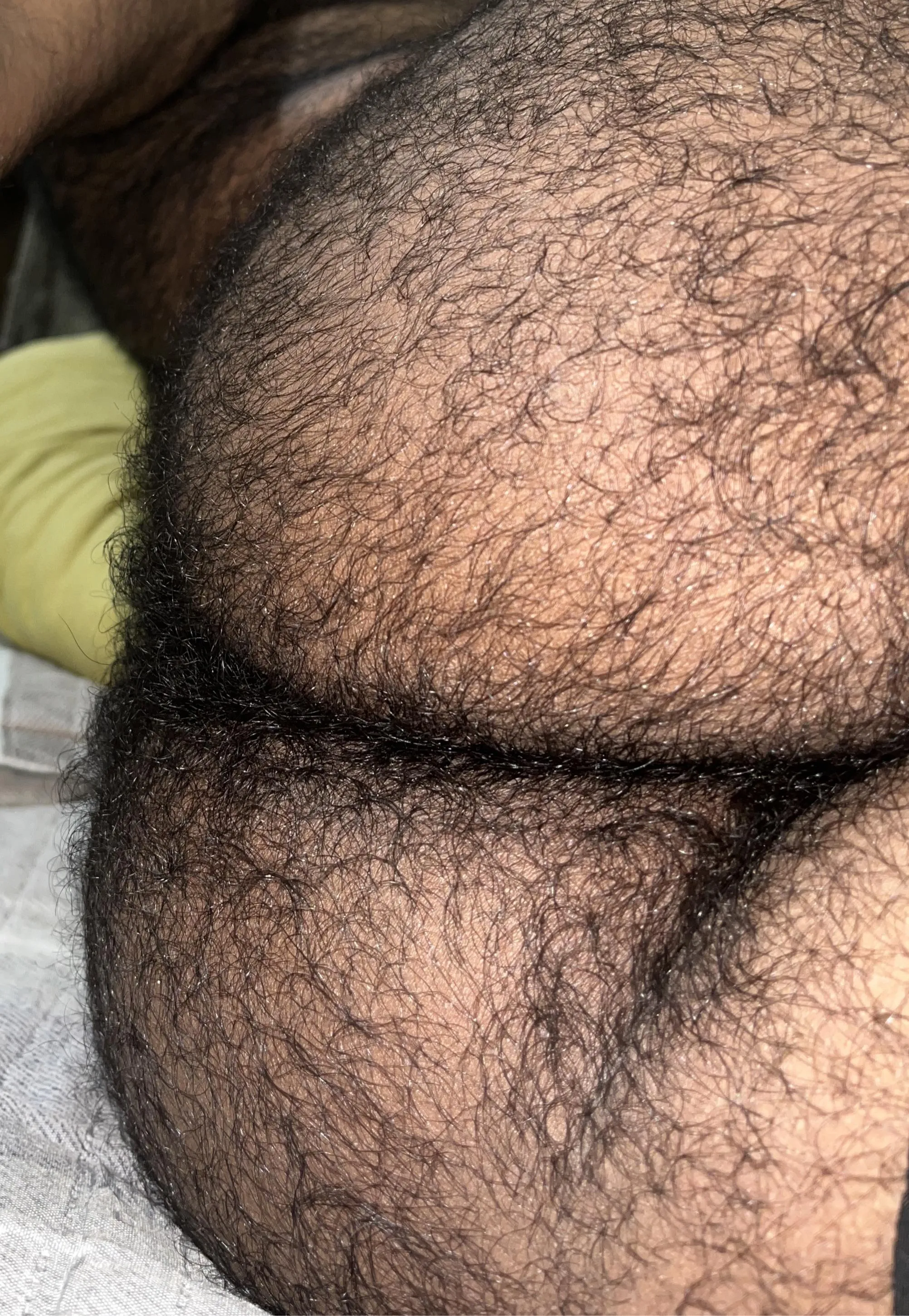 Curte peludinha? (26)