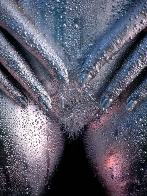 Droplets, Metallic Bodypaint & Photography, by FleshandColor