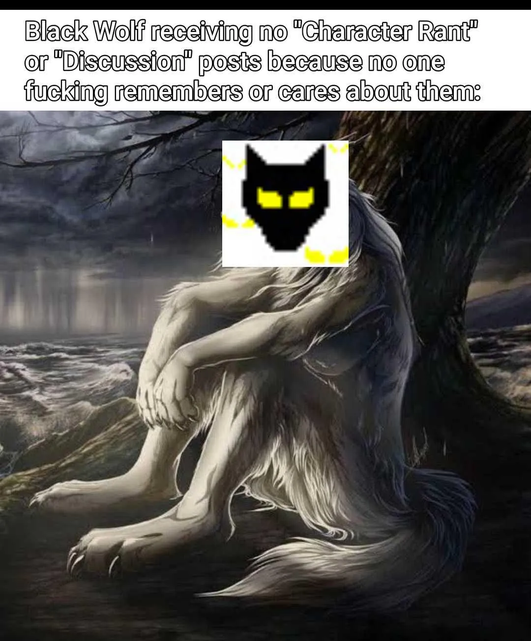 Hastily made meme regarding the rant posts.