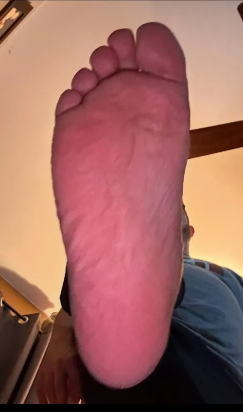 It’s payday pigs. Time for me to crush that wallet.