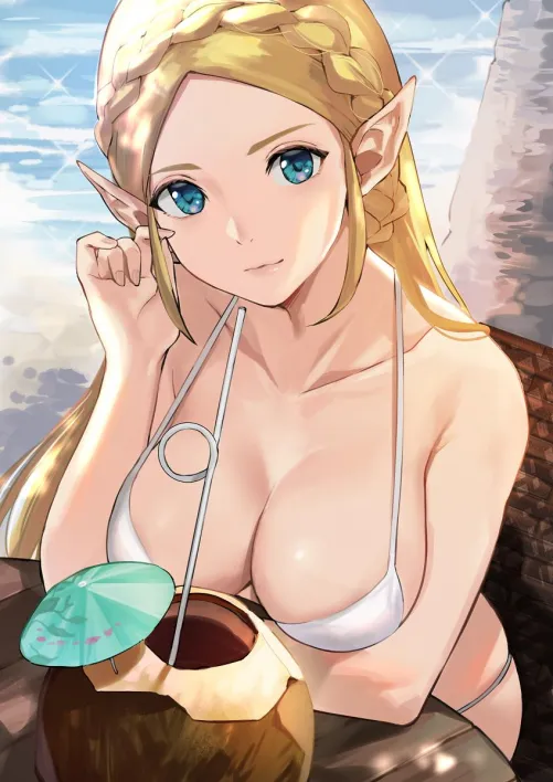 Summer Zelda (J@CK on Pixiv) [Breath of the Wild]