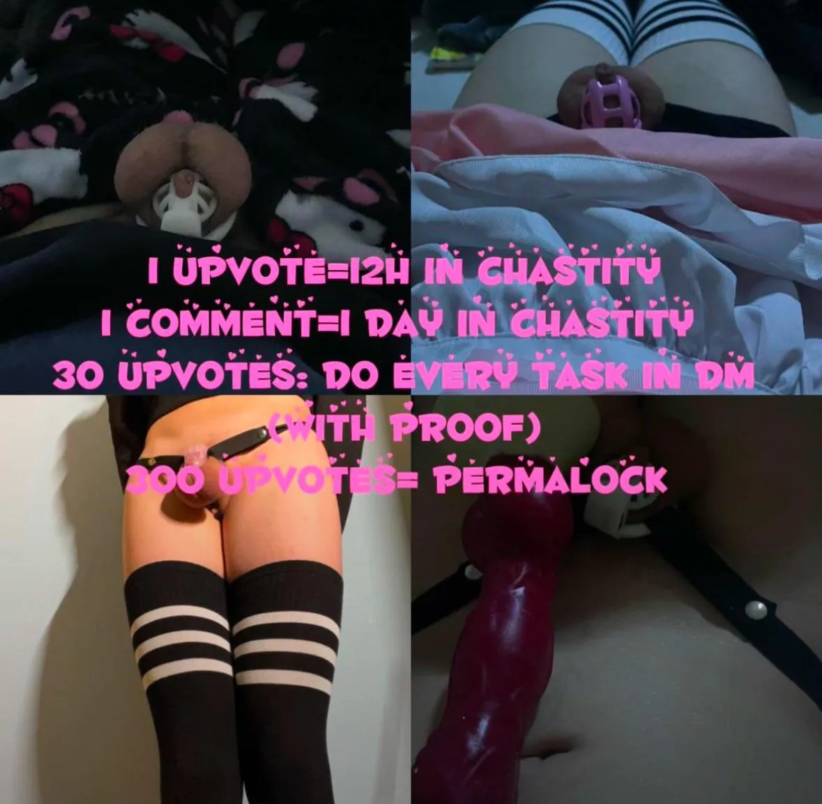 Upvote and make me regret this