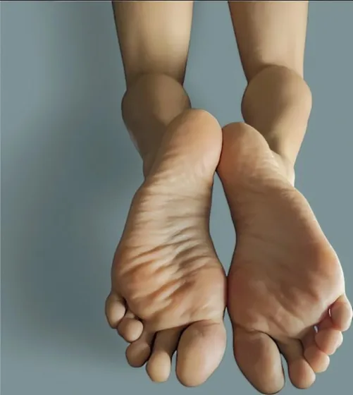 Vi piacciono le sue piante?