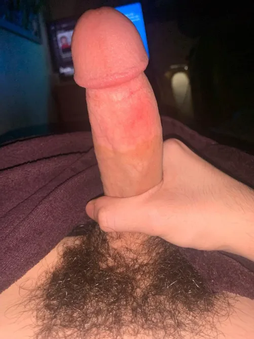22 hairy bwc looking for a sub bottom sc : derekgrenthen