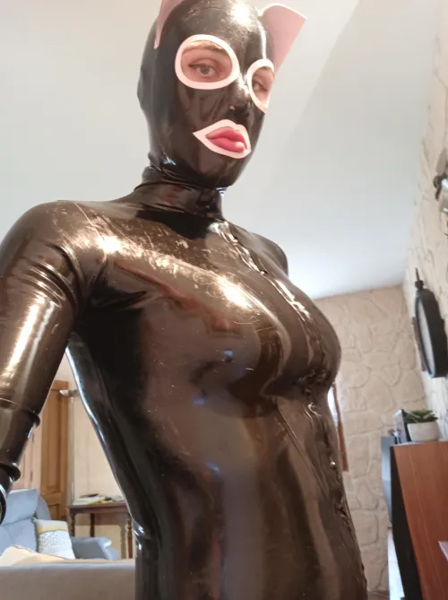 Do you like this kitty ?