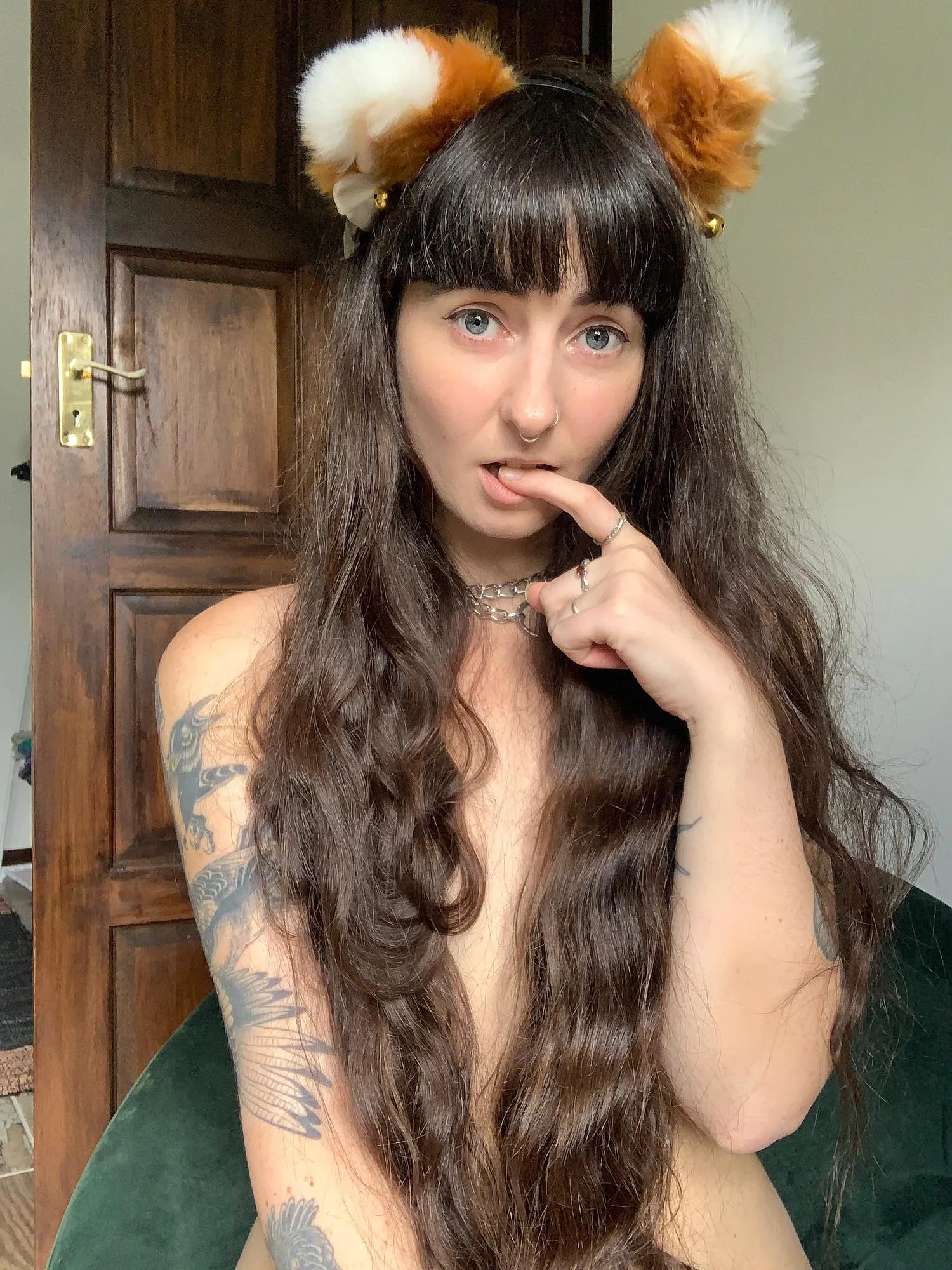 I might leave you with claw marks