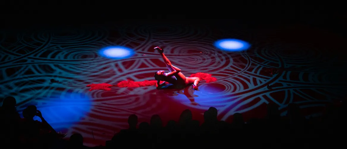 I recently got to do an opening performance for the Kinky History stage show!