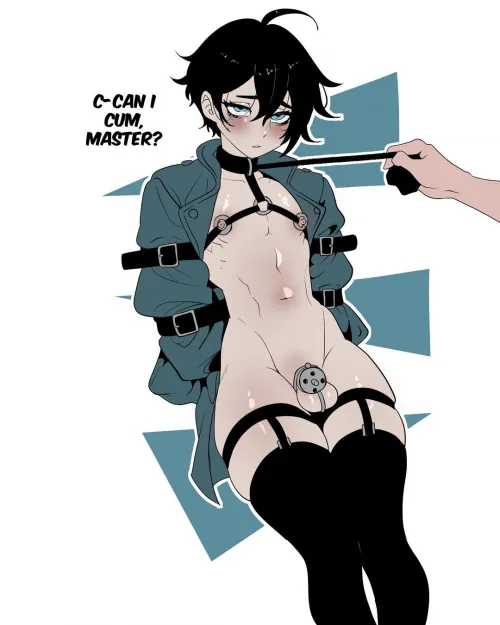 Leashes and Collars <3