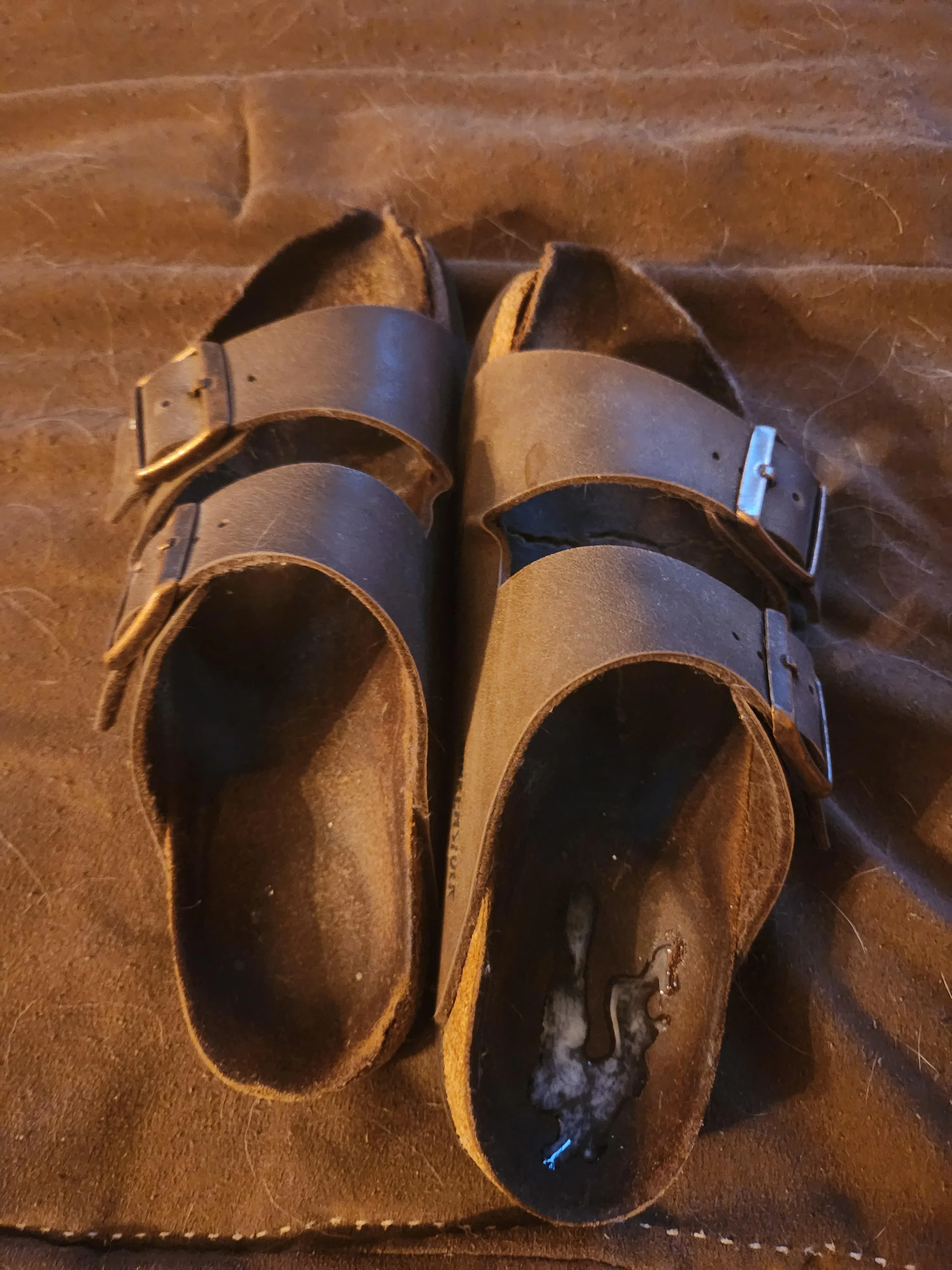 Lick alphas cum from my birks Ive had since high-school losers