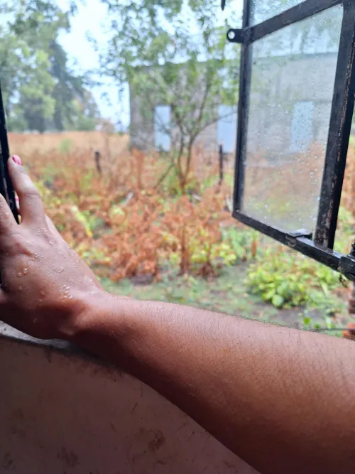 Morning Rain gave me goosgamps on my [arms]