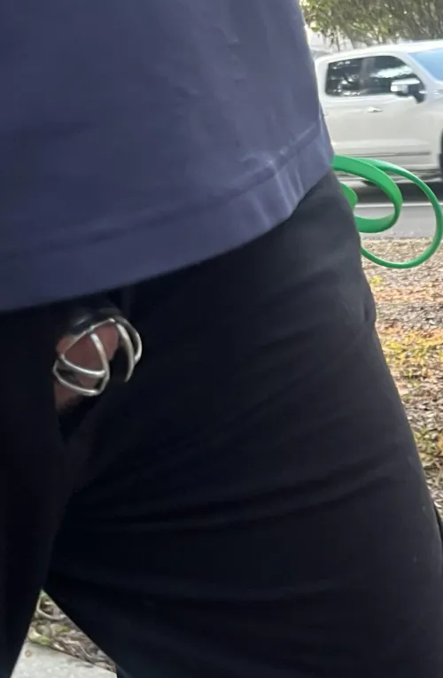 Morning (woodless) walk