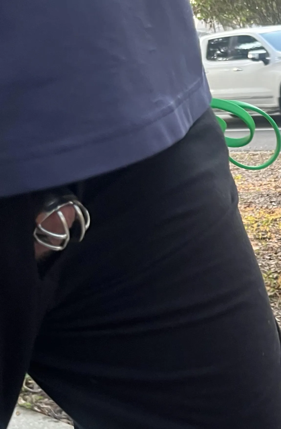 Morning (woodless) walk