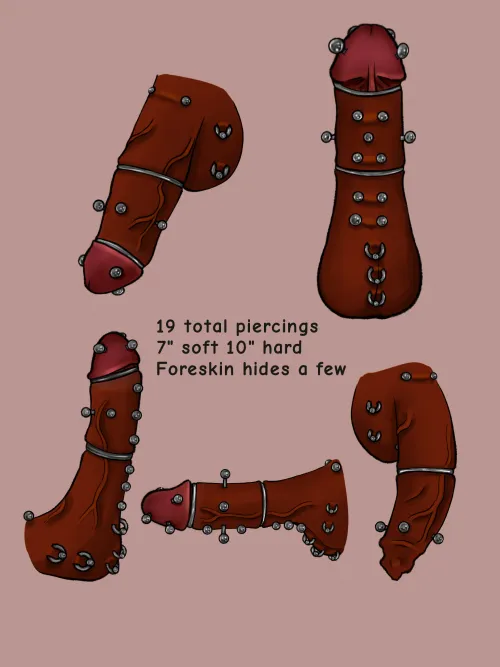 My oc's heavily pierced cock