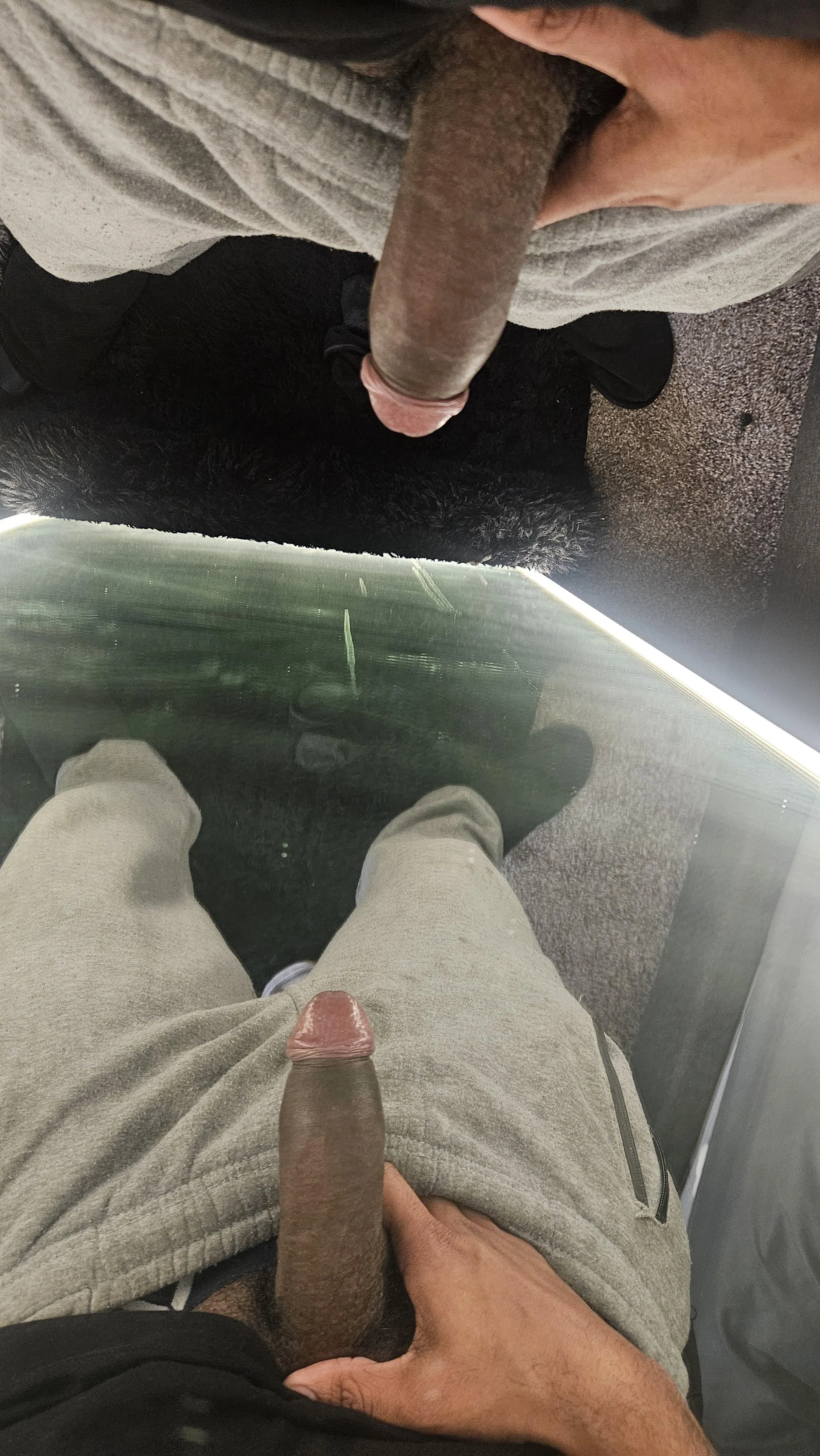 Orlando latino cock who wants it?