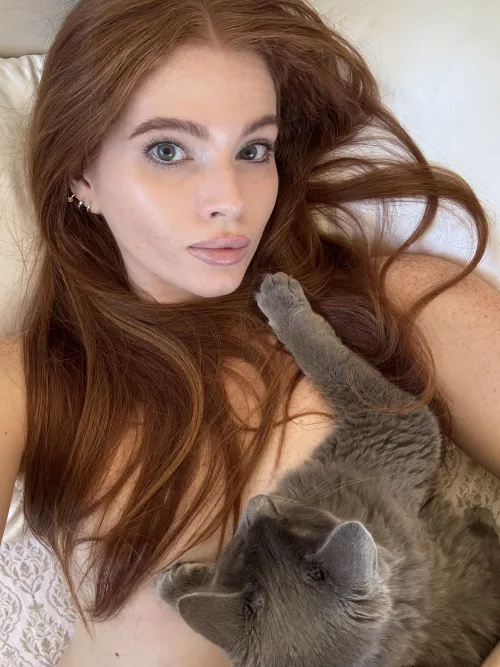 whos kitty do you prefer?