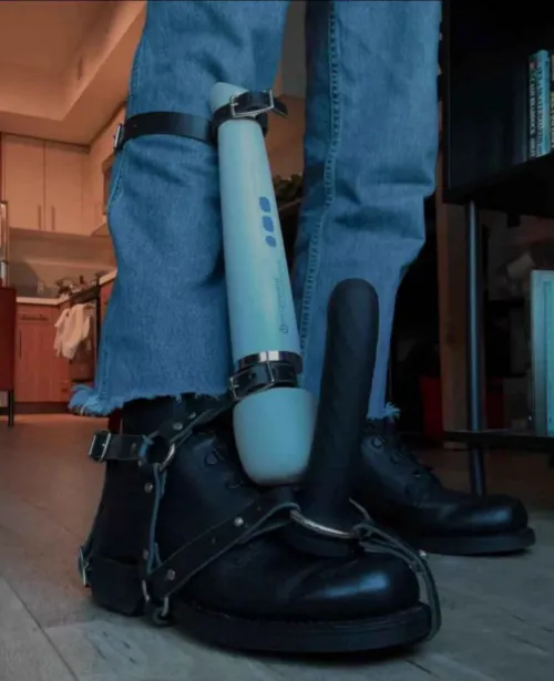 Anybody know if this harness exists?