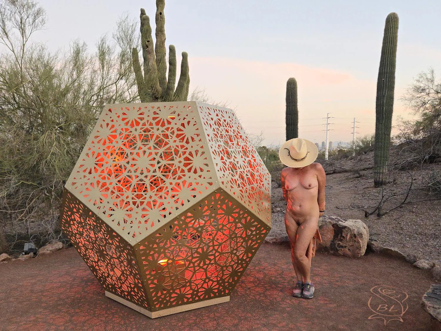 Desert Botanical Gardens - Light Bloom by HYBYCOZO