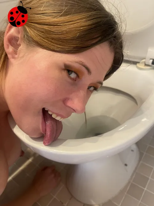 Licking masters toilet clean