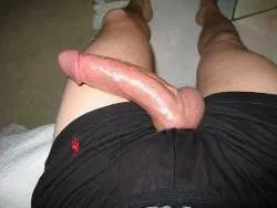 [m4mf]Tampa, riverview