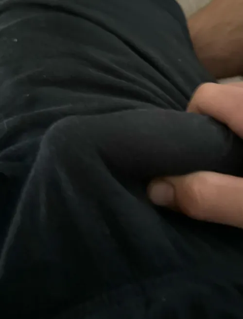 Martinsburg fit bull