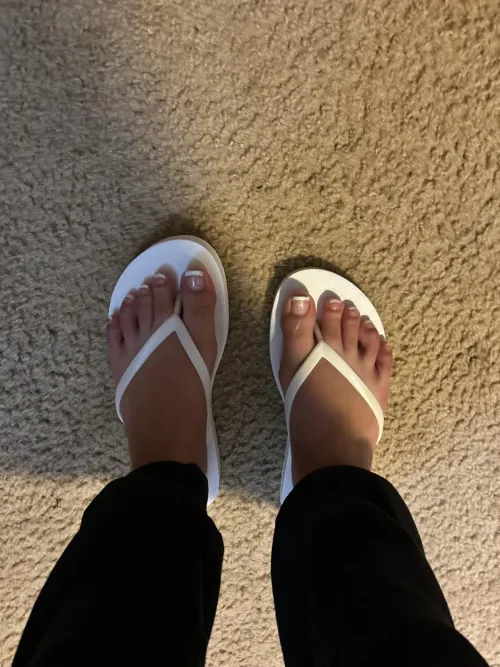 Should I go back to French?