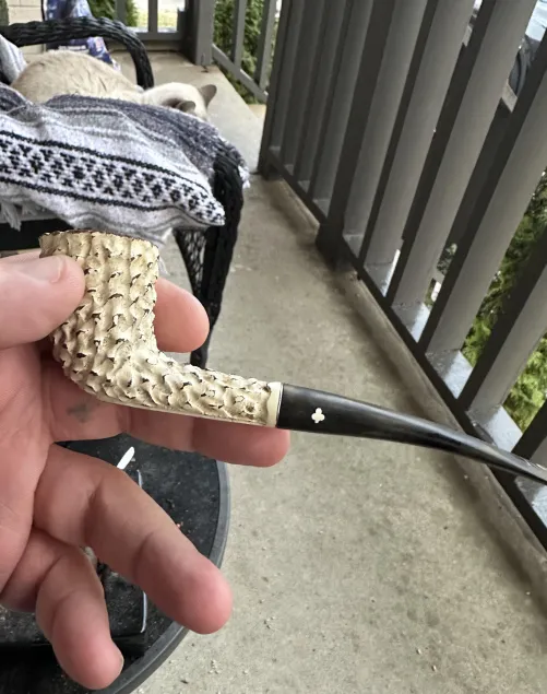 Some Presbyterian in a vintage Kaywoodie coral white briar. Also my neighbors cat