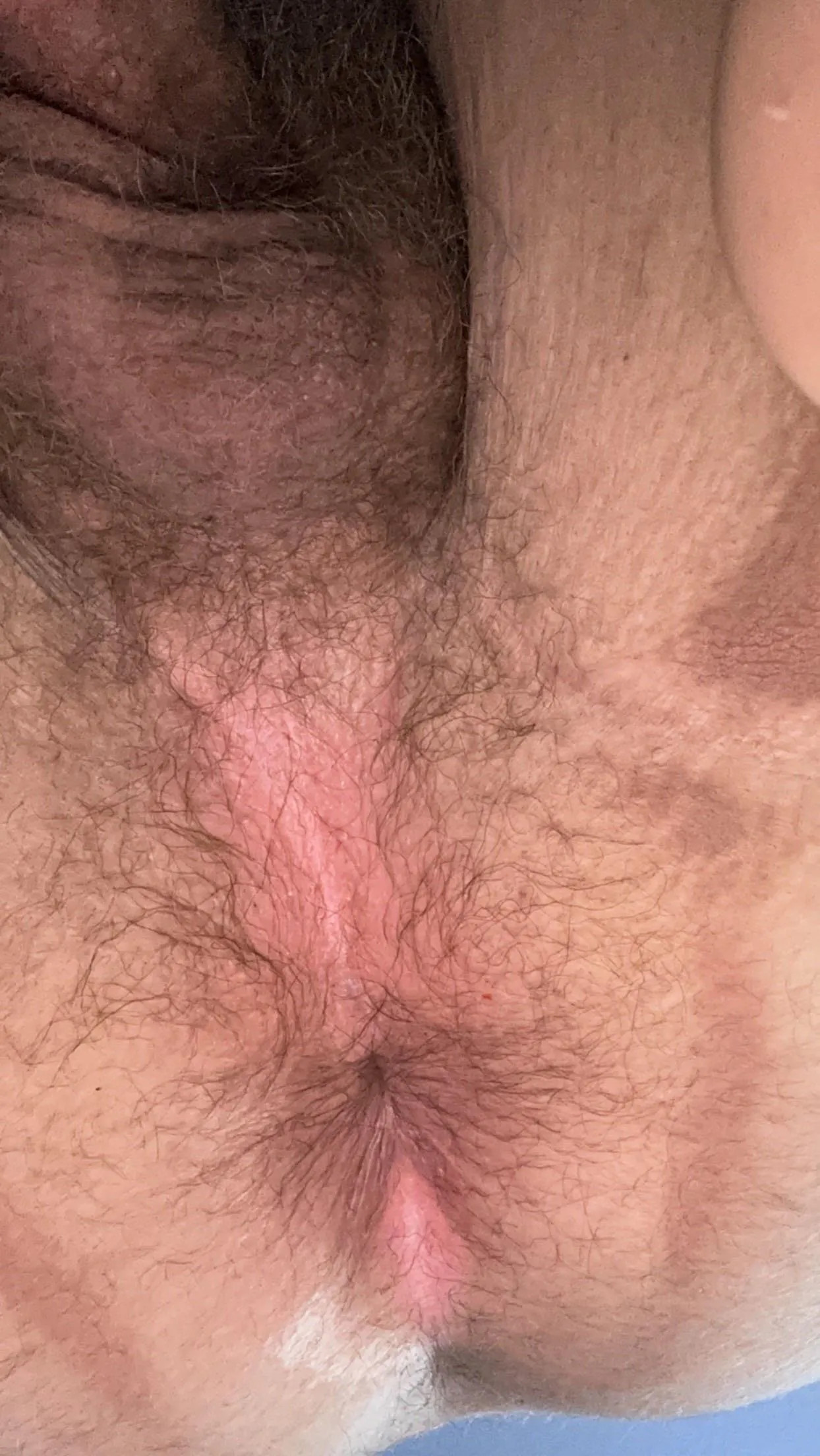 Thought you may enjoy 21 DMs open