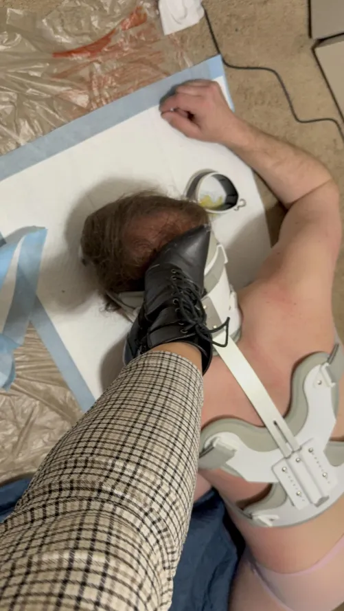 What toilets flush in Colorado/NY!?