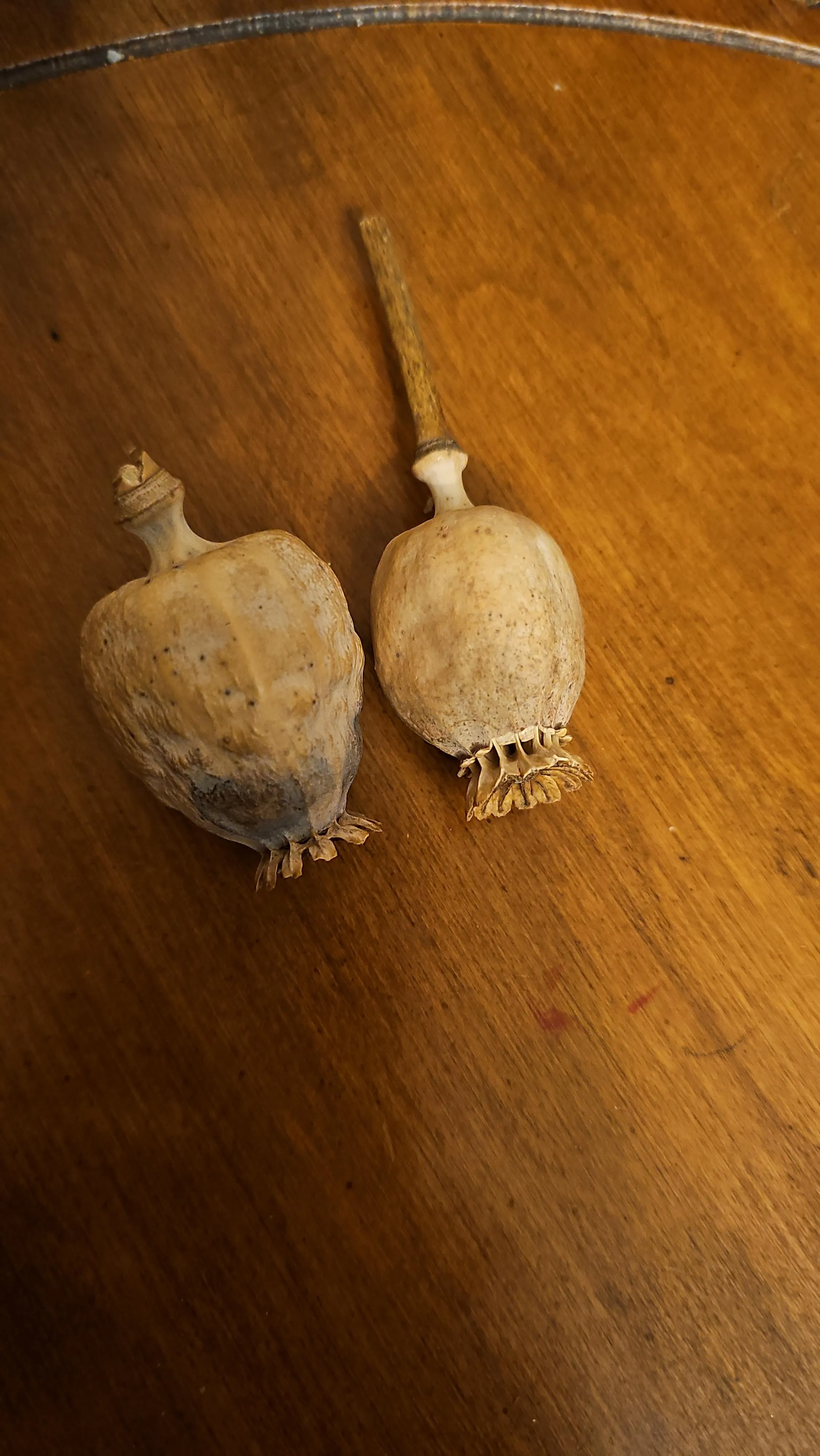 What's the difference between these two pods? 