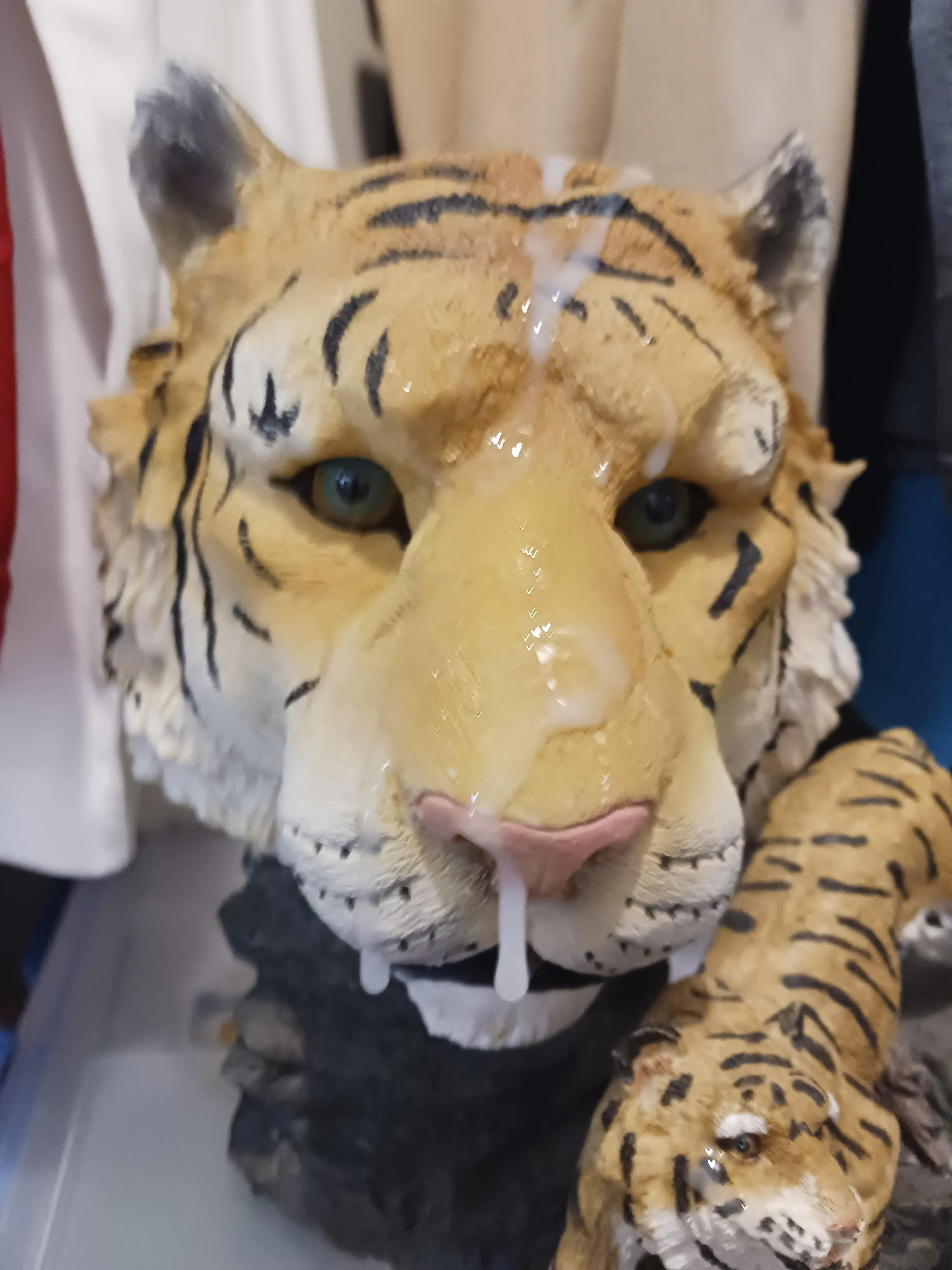 (33) From yesterday's video