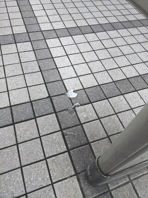 [45] Finally added to the campus stall, pt. 2