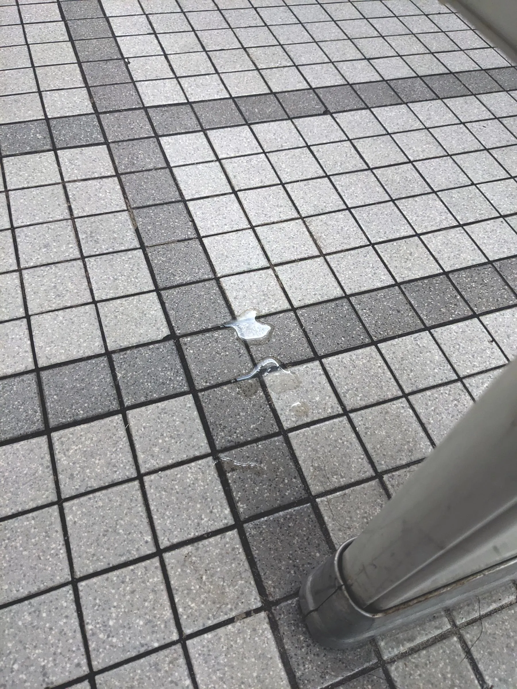 [45] Finally added to the campus stall, pt. 2