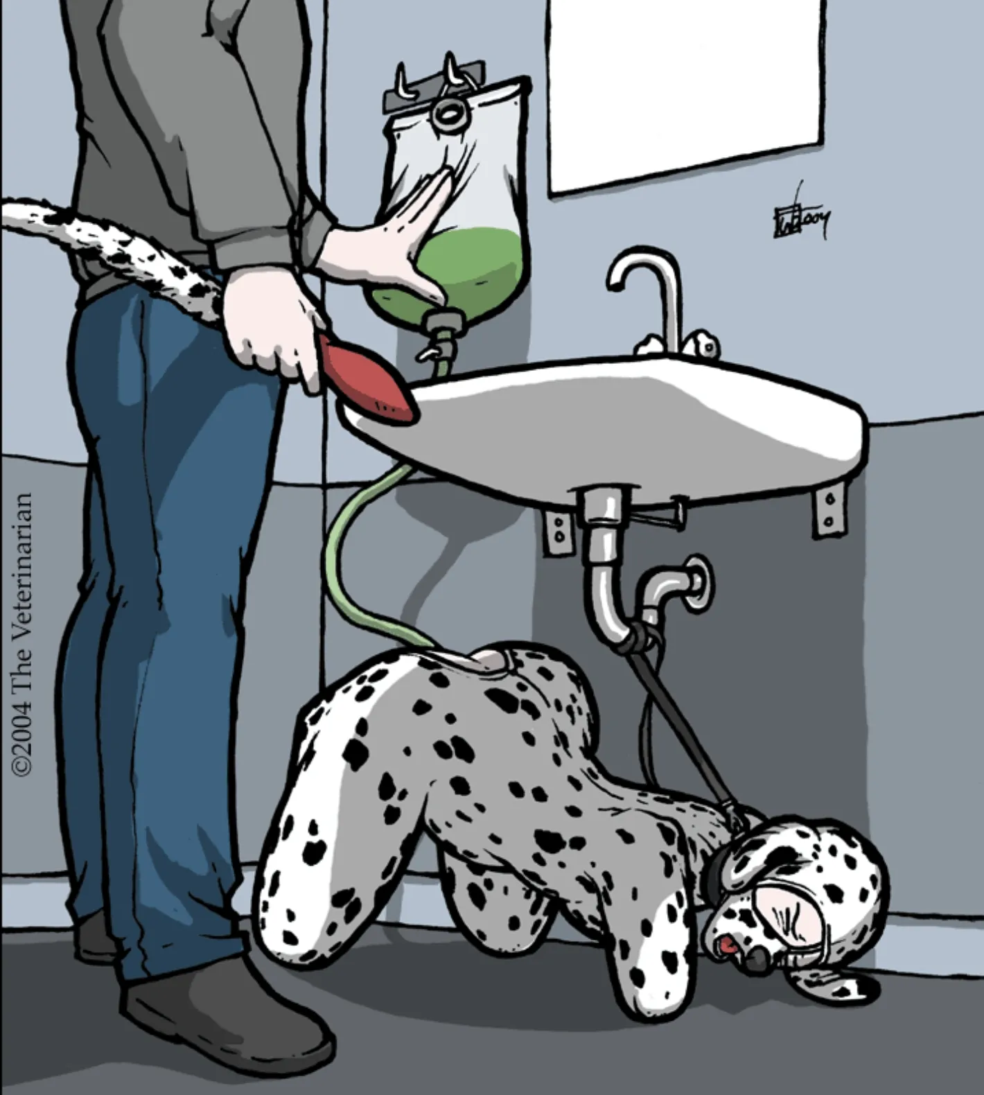 Enema Training by The Veterinarian
