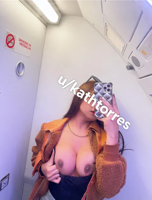 (f) Exhibitionist in the Airplane Lavatory