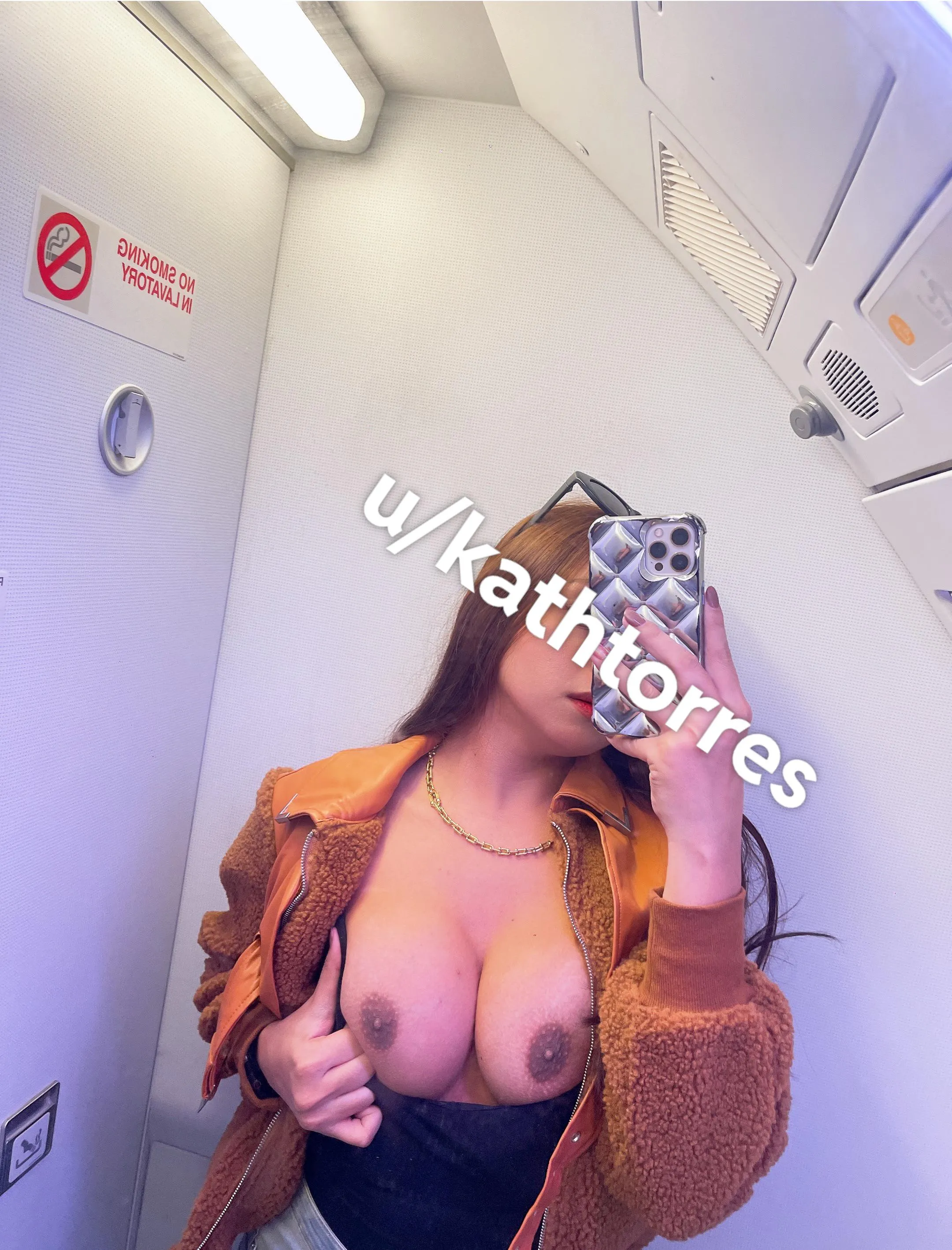 (f) Exhibitionist in the Airplane Lavatory