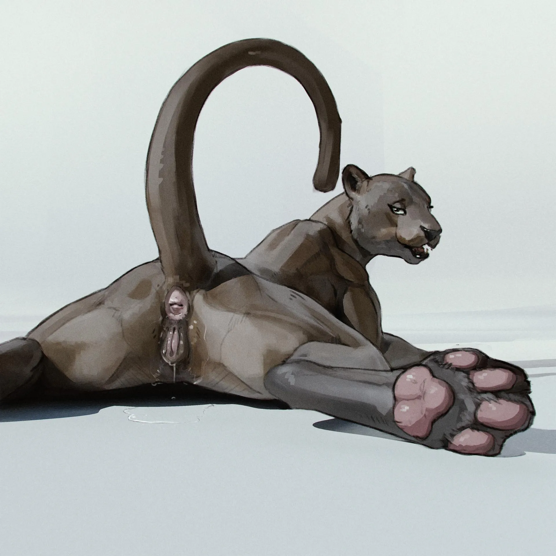 Jaguar sploot (cosmiclife) [F]