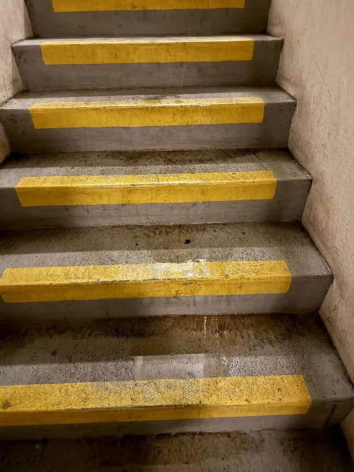 Just my pee running down the stairs