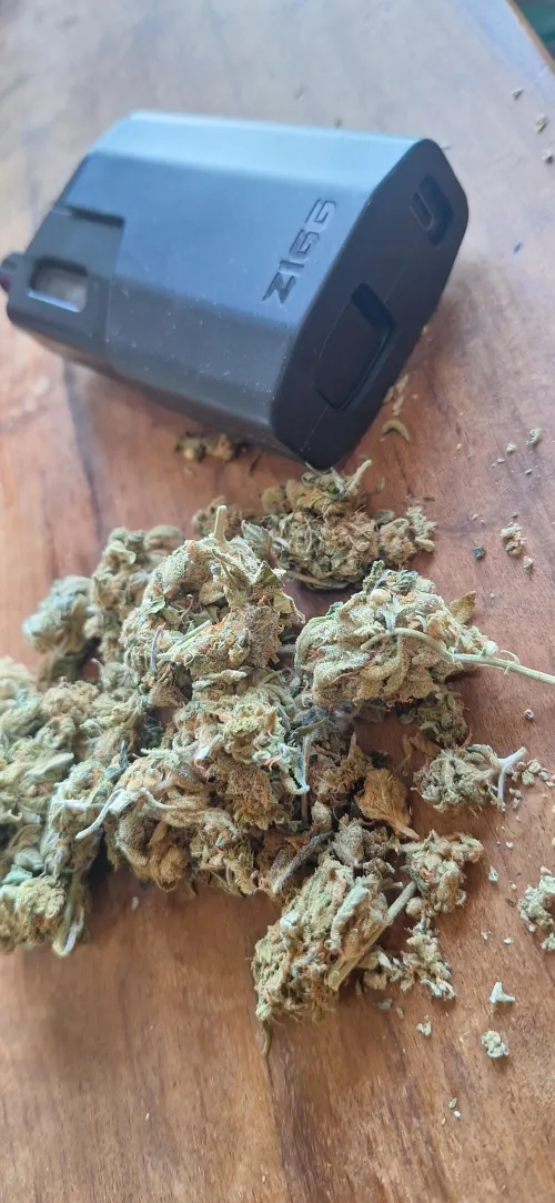 Nessa selva de pedra que habitamos o que vc faz pra amenizar seu estress?