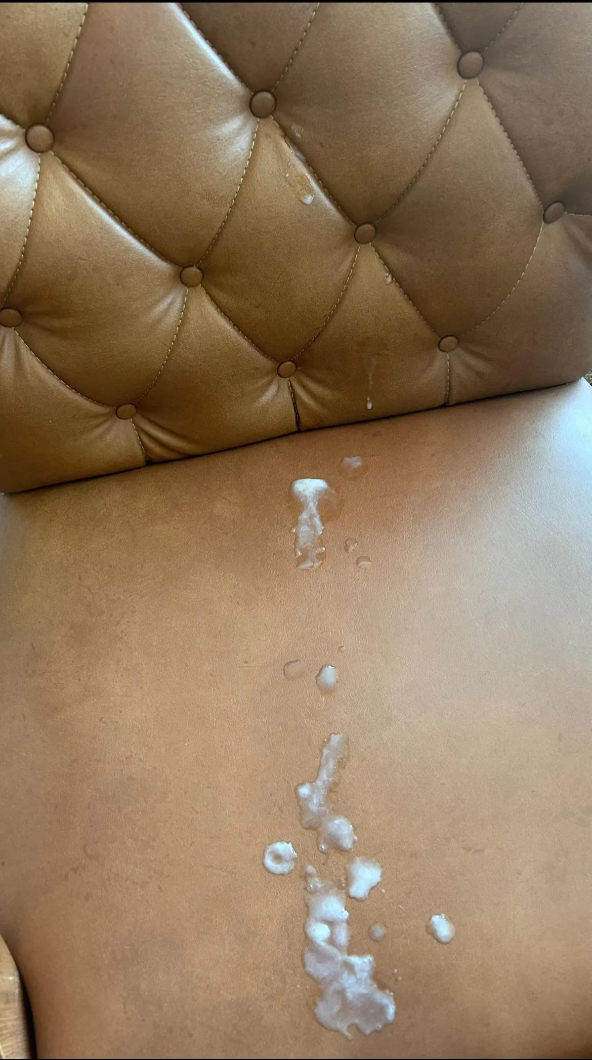 On my assistant’s chair (35)