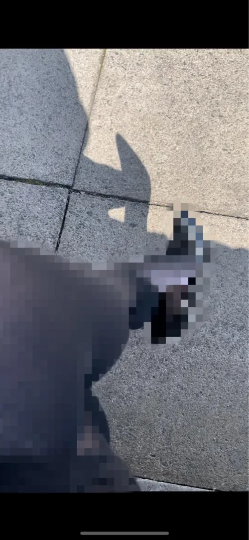 Pixels on everything because you deserve nothing