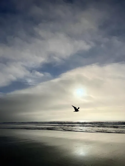 The Reward Of The Hike!