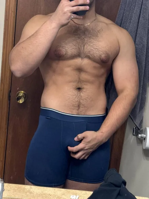 Used boxers up for sale