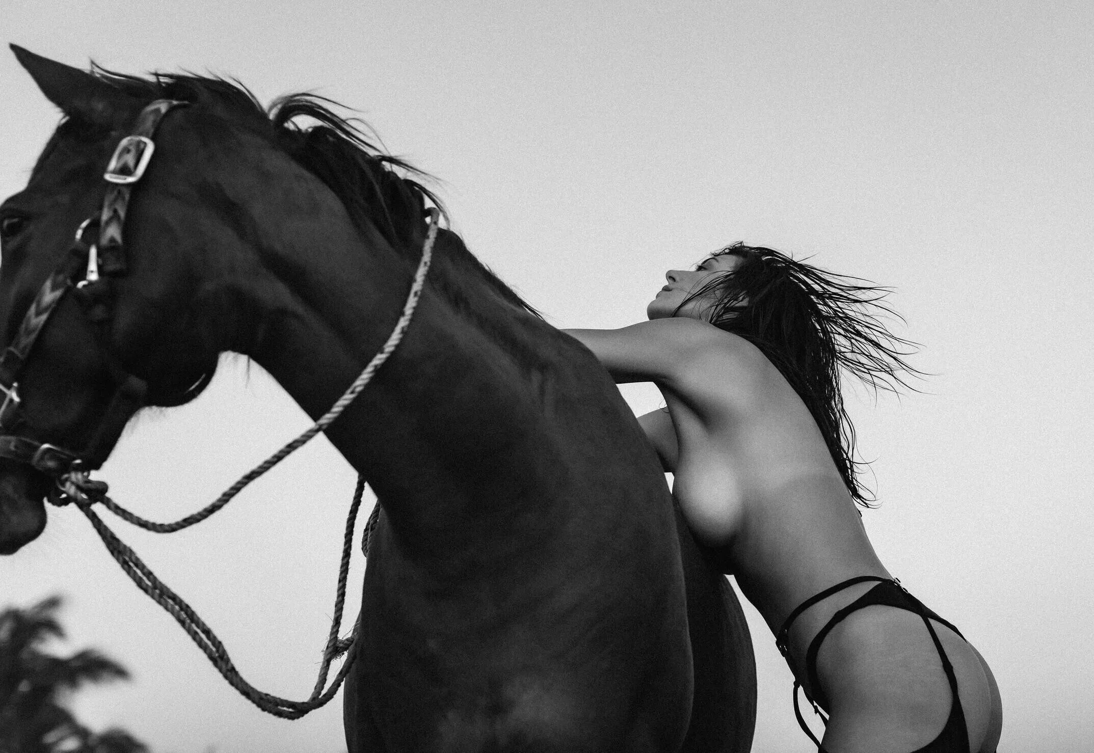 Alejandra | Dark rider