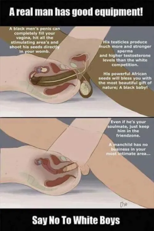 Black men vs white men dicks