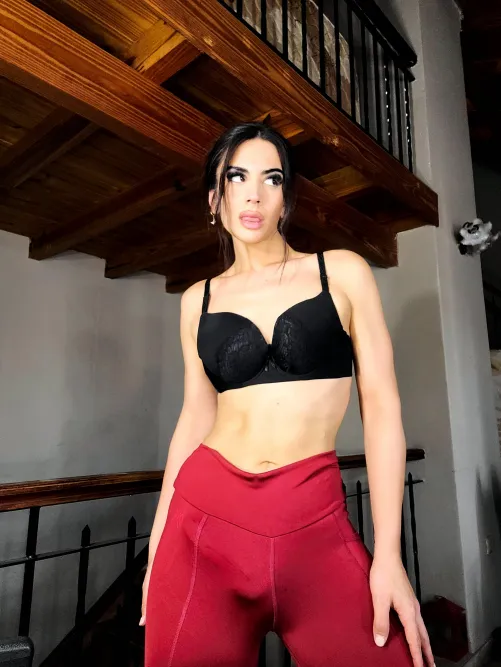 If I couldn't say no for 24 hours, what would you do to me?