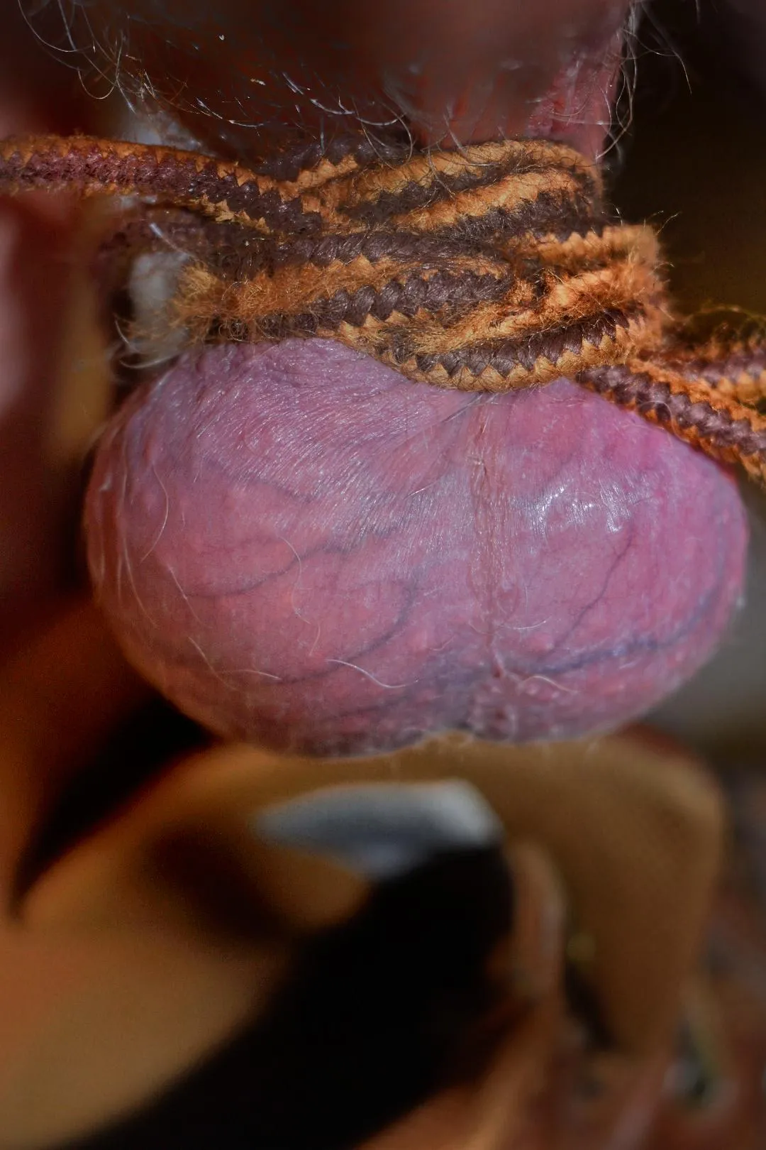 If I offered myself to you like this, what would you do? What song are we listening to?