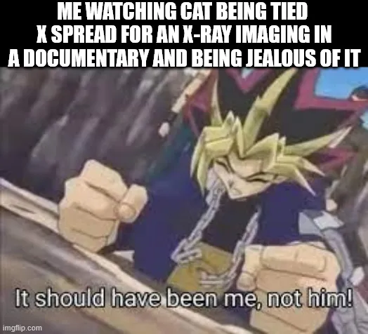 So that was a fun experience today. I like watching animal care documentary series.