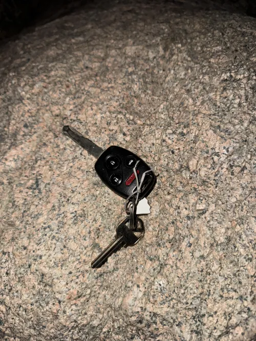 Trip Report 01/29/25. I picked a bad time to go.