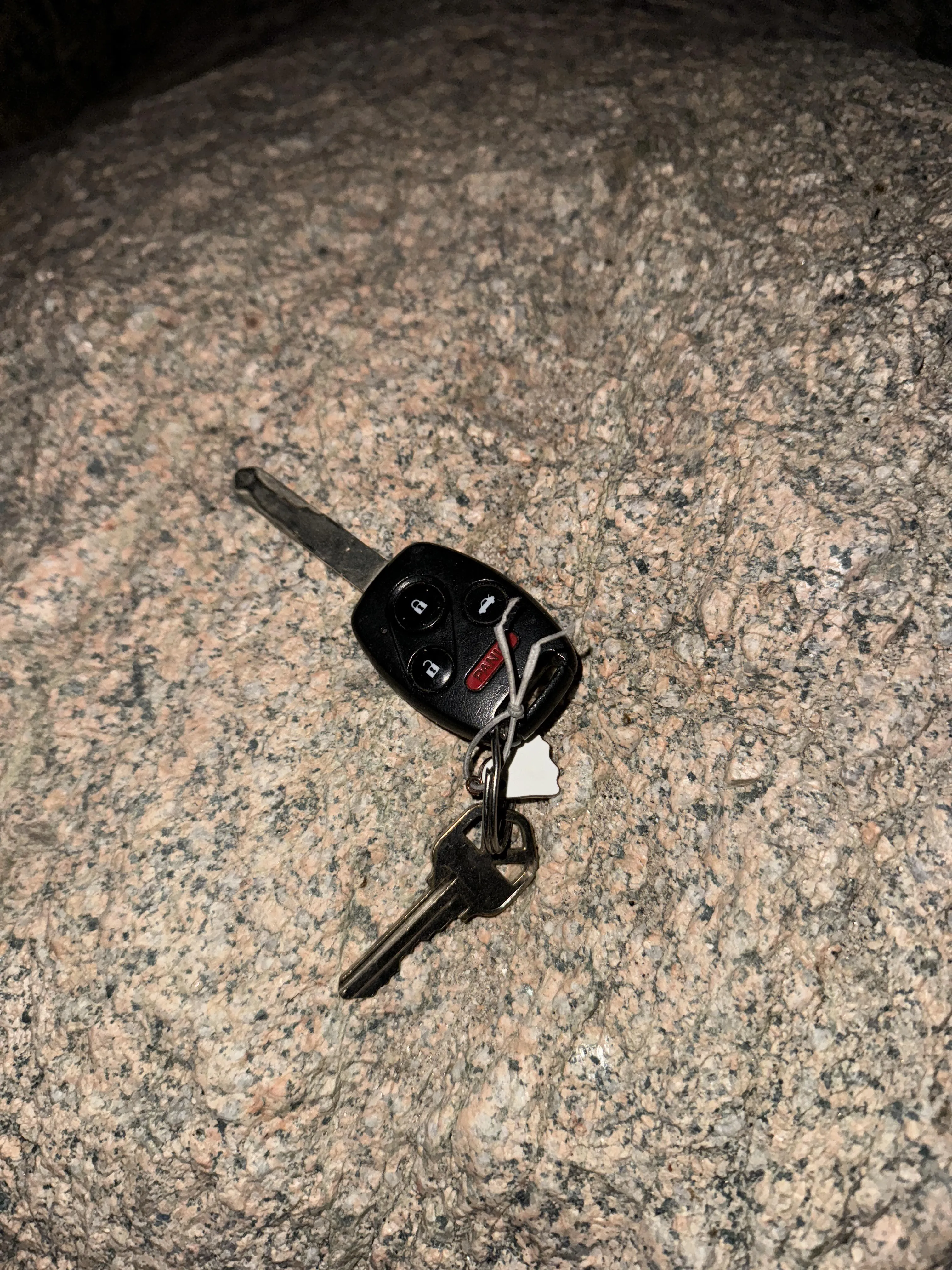 Trip Report 01/29/25. I picked a bad time to go.