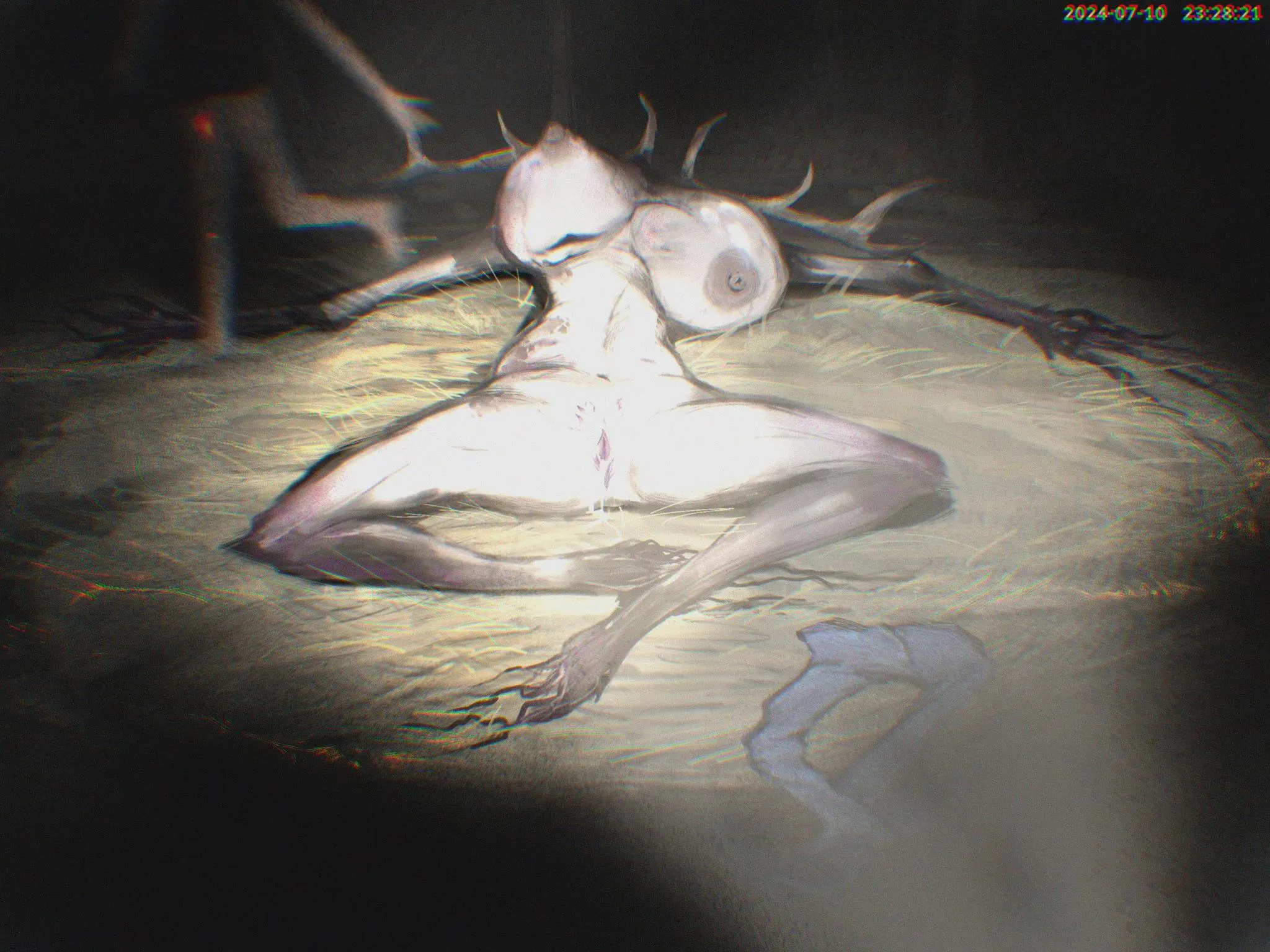 [F4M] (Detailed) {Limitless} You are a monster hunter in rural Appalachia to hunt a wendigo. You manage to severely weaken a female wendigo; according to recently discovered legend, the man who successfully rapes the female wendigo, shall become its mast